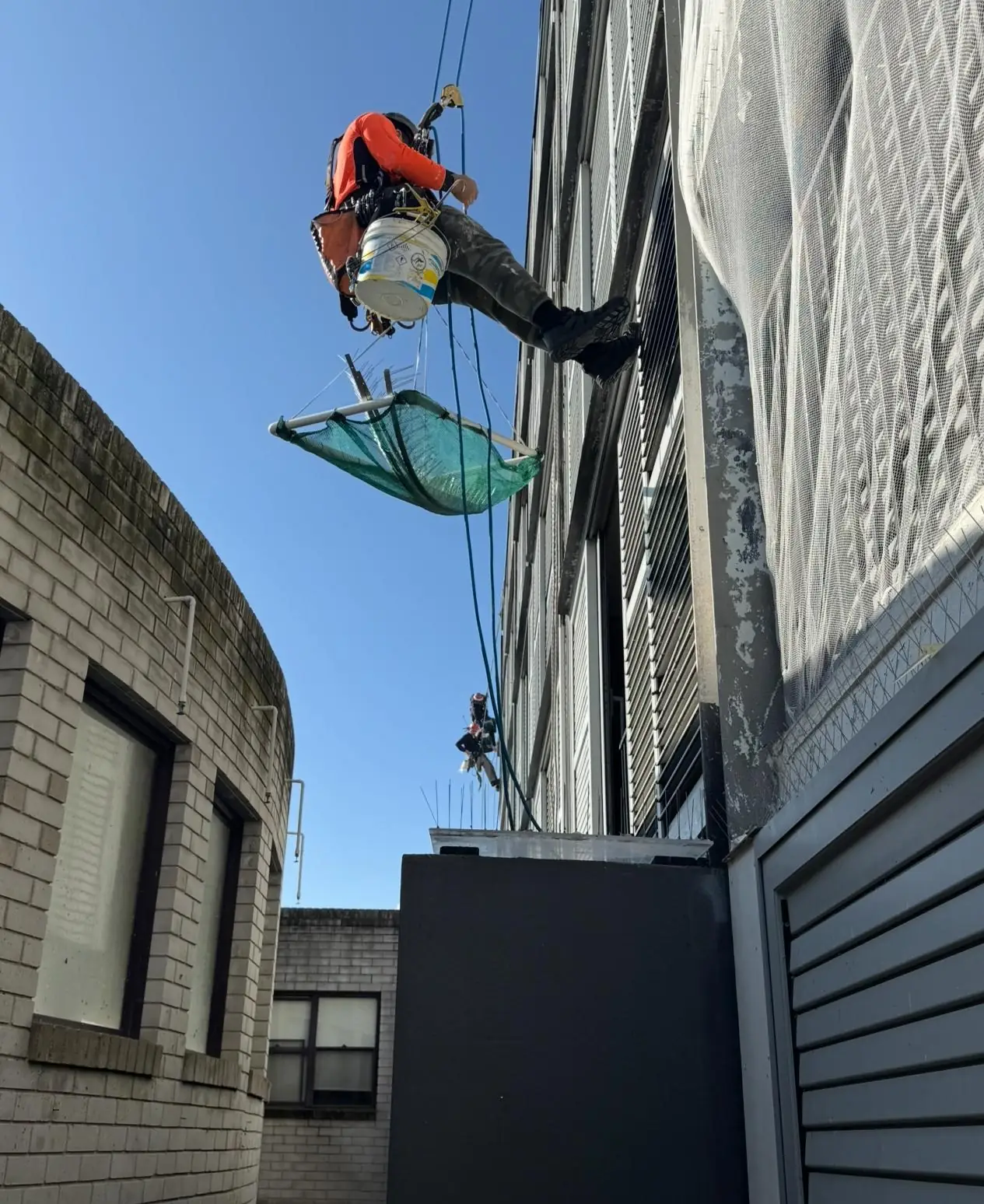 Two rope access technicians in helmets on separate ropes, one fitting bird spikes above a catch tray on a Sydney building