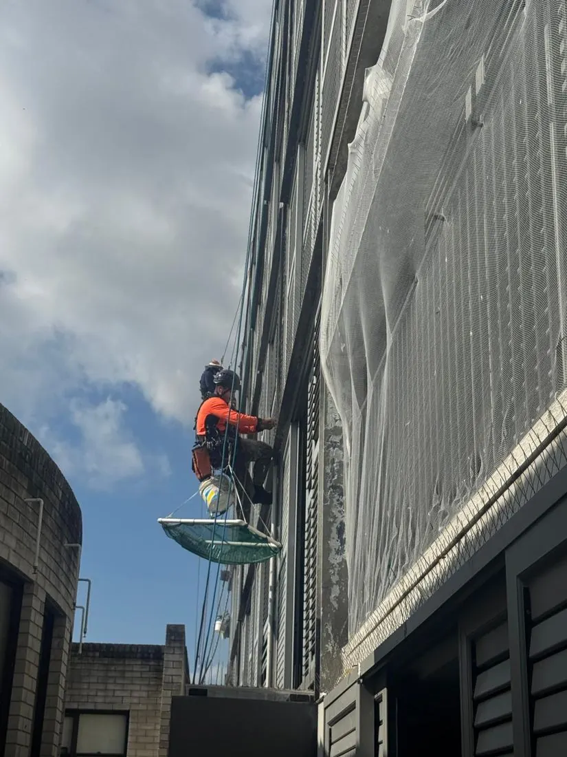 Technician on rope with a catch net on a screened façade during bird proofing